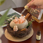 Original Bird’s Nest Crystal Aroma Stone Gift Set, Bird's Nest Diffuser Crystal Aromatherapy Indoor Fragrance Gift