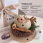 Original Bird’s Nest Crystal Aroma Stone Gift Set, Bird's Nest Diffuser Crystal Aromatherapy Indoor Fragrance Gift